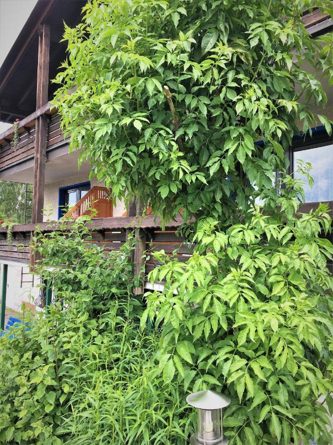 Antjes Schmankerlhotel Und Restaurant Tröstau Dış mekan fotoğraf